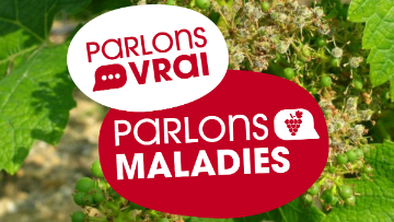 maladies